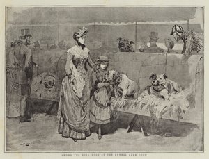 Unter den Bulldoggen auf der Ausstellung des Kennel Clubs